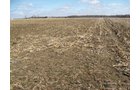 Property photo 20 - 127 Acres Offered in 4 Tracts
